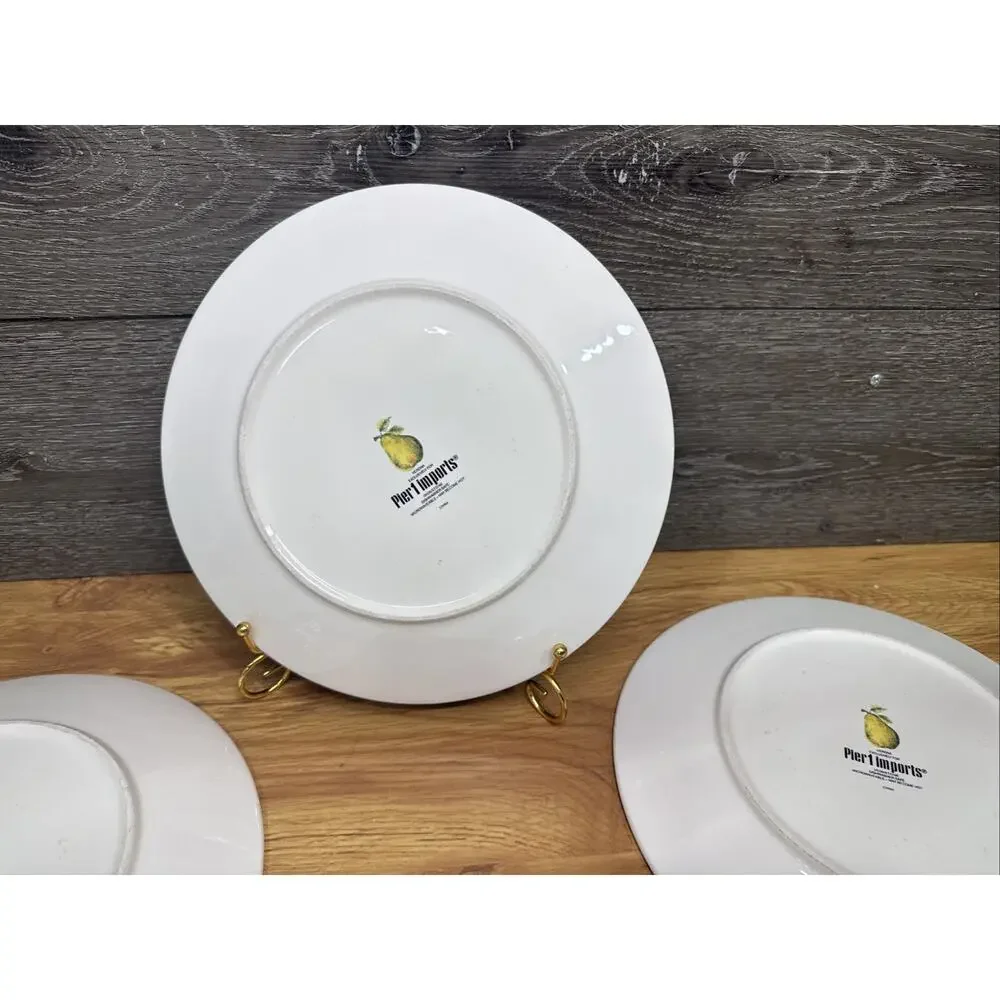 Pier 1 Imports good used